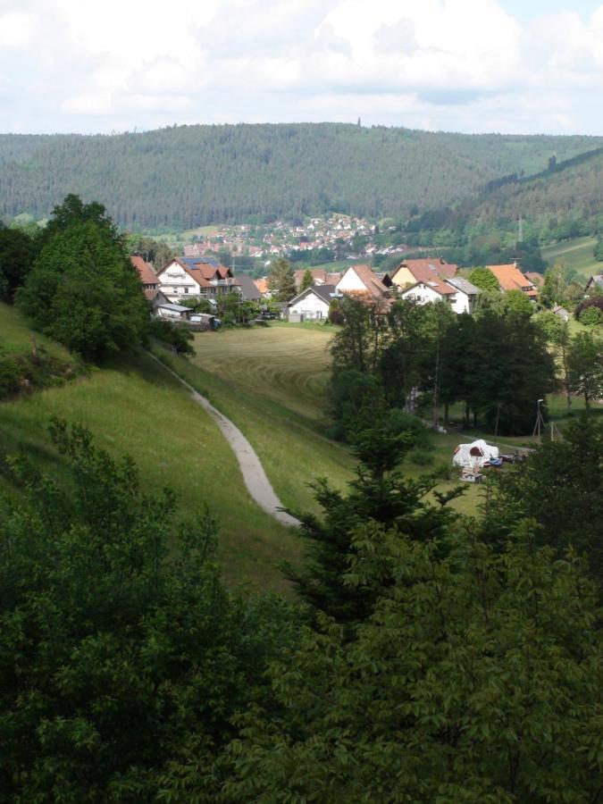 Haus Schneider Appartement Baiersbronn Buitenkant foto